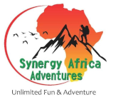 Synergy Africa